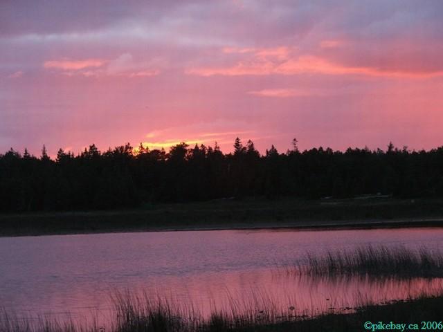 ../Images/meg july 1st 007.jpg